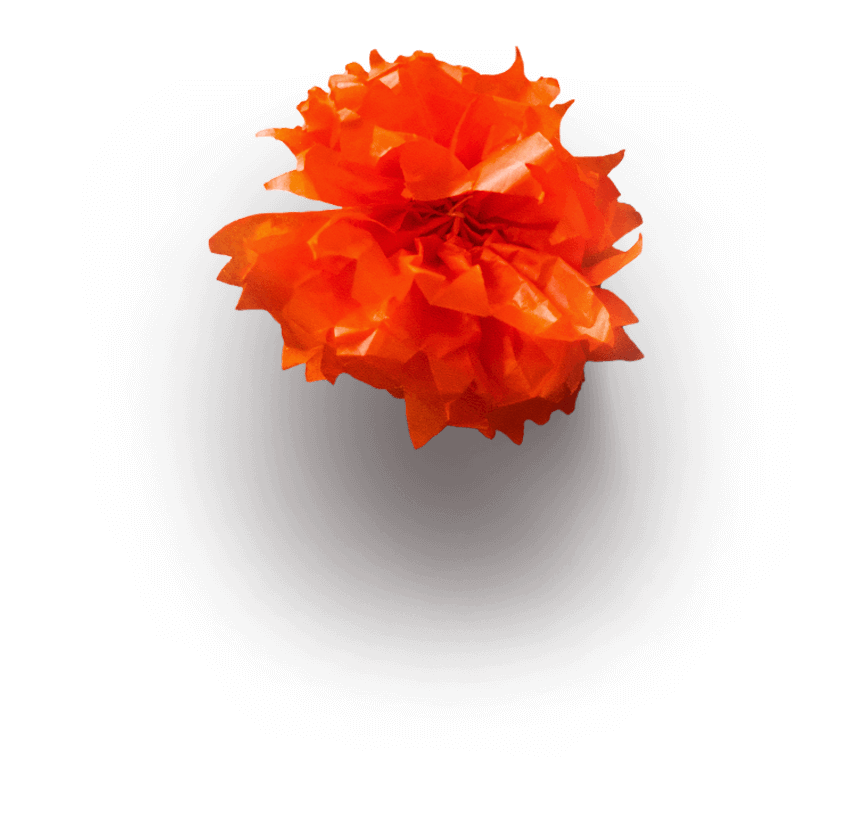 orange-flower